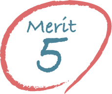 Merit 5